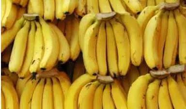 香蕉和橙子搞笑视频,搞笑视频里的欢乐时光