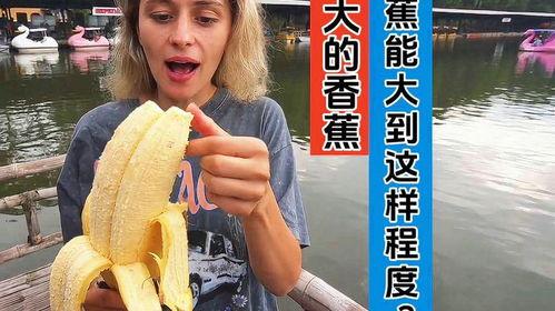 大香蕉经典视频