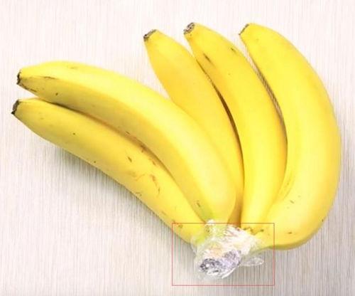 岛国成人精品香蕉